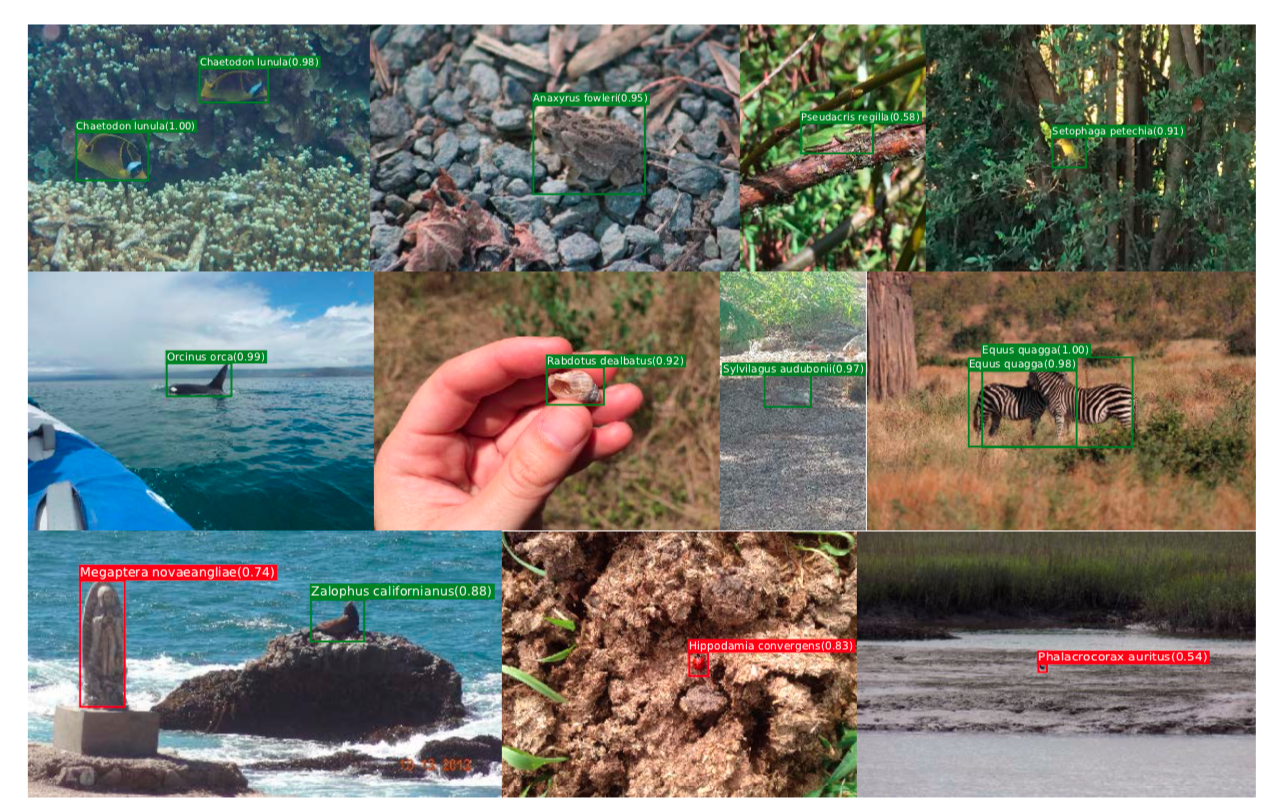Sample images from VisDrone
